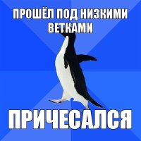 прошёл под низкими ветками причесался