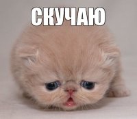 Скучаю