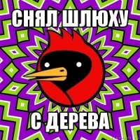 снял шлюху с дерева