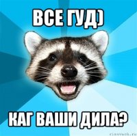 все гуд) каг ваши дила?