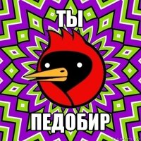 ты педобир