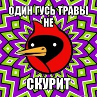 один гусь травы не скурит