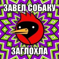 завел собаку заглохла