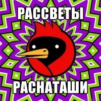 рассветы раснаташи