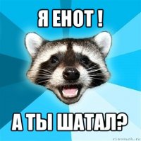 я енот ! а ты шатал?