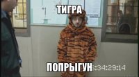 тигра попрыгун