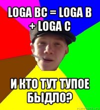 loga bc = loga b + loga c и кто тут тупое быдло?