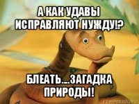 а как удавы исправляют нужду!? блеать....загадка природы!