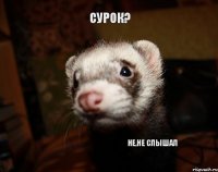 Сурок? Не,не слышал