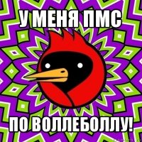 у меня пмс по воллеболлу!