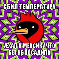 сбил температуру уехал в мексику что бы не посадили