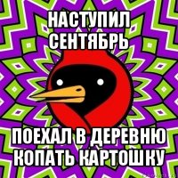 наступил сентябрь поехал в деревню копать картошку