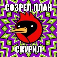 созрел план скурил