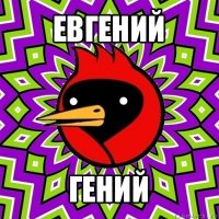 евгений гений