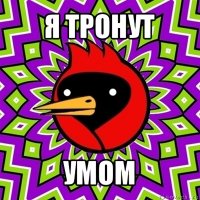 я тронут умом