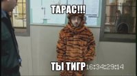 тарас!!! ты тигр