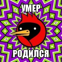 умер родился