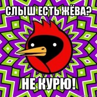 слыш есть жёва? не курю!