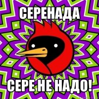 серенада сере не надо!