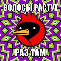 волосы растут раз там