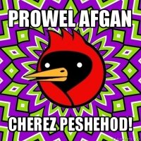 prowel afgan cherez peshehod!