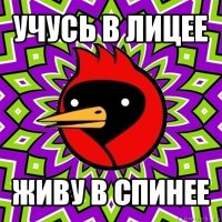 учусь в лицее живу в спинее