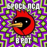 брось лсд в рот