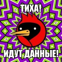 тиха! идут данные!