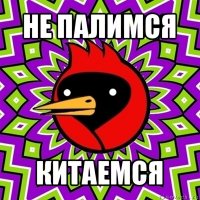 не палимся китаемся