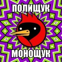 полищук монощук