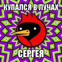 купался в лучах сергея