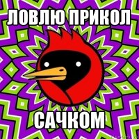 ловлю прикол сачком