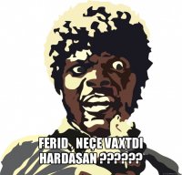  ferid , neçe vaxtdi hardasan ???