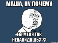 маша, ну почему ты меня так ненавидишь???