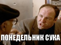 понедельник сука