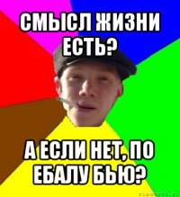 смысл жизни есть? а если нет, по ебалу бью?