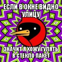 если в окне видно улицу значит я хожу гулять в стекло пакет