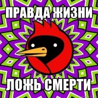 правда жизни ложь смерти