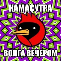 камасутра волга вечером