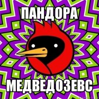 пандора медведозевс