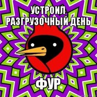 устроил разгрузочный день фур