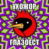 ухожор глазоест