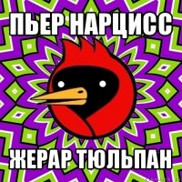 пьер нарцисс жерар тюльпан