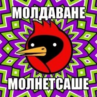 молдаване молнетсаше