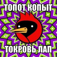 топот копыт токровь лап