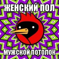 женский пол мужской потолок