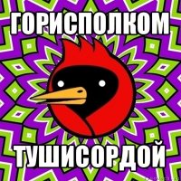 горисполком тушисордой