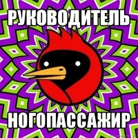 руководитель ногопассажир