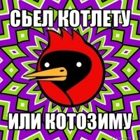 сьел котлету или котозиму