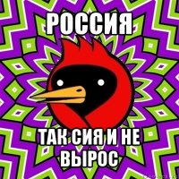 россия так сия и не вырос